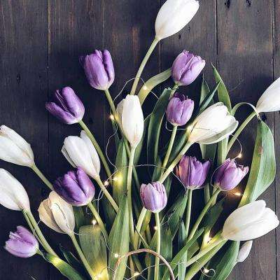 奥运女子组赛事仅限生理女性参加